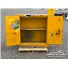 Image 5 : SAFETY CABINET