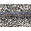Image 8 : RAPTOR 9 FT. SKID STEER SICKLE MOWER