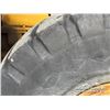 Image 32 : 1981 CAT 966C WHEEL LOADER