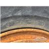 Image 36 : 1981 CAT 966C WHEEL LOADER