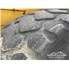 Image 40 : 1981 CAT 966C WHEEL LOADER