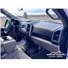 Image 21 : 2018 FORD F150 XLT CREW CAB PICKUP