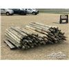 Image 2 : (116) FENCE POSTS