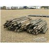 Image 3 : (116) FENCE POSTS