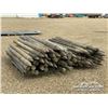 Image 4 : (116) FENCE POSTS