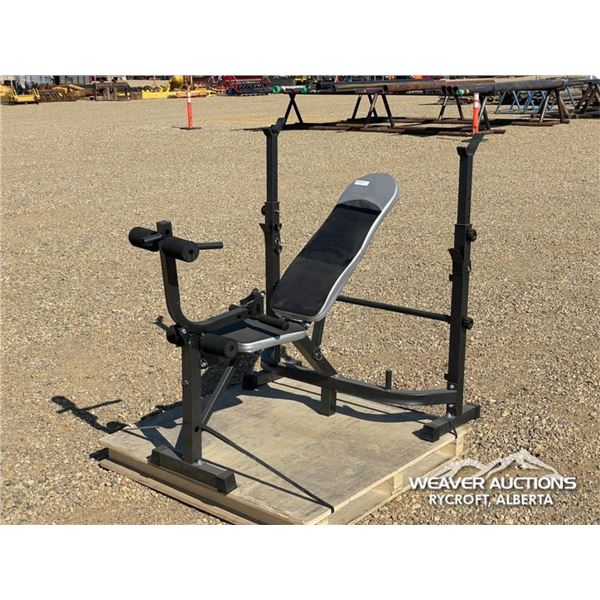 WEIGHT LIFTING BENCH