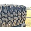 Image 8 : (4) GRIZZLY 35X12.50R18 TIRES