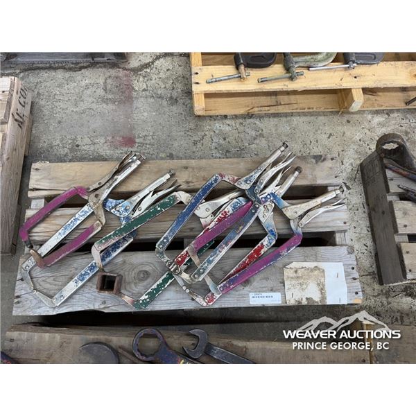 (6) VISE GRIPS