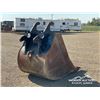 Image 3 : CWS 48 IN. EXCAVATOR DIGGING BUCKET