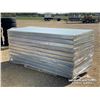 Image 3 : (10) 3.2 X 8 FT. INSULATED STEEL PANELS