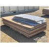 Image 1 : QTY OF 4 X 8 FT. PLYWOOD W/POLYCARBONATE SHEETS