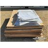 Image 7 : QTY OF 4 X 8 FT. PLYWOOD W/POLYCARBONATE SHEETS