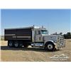 Image 2 : 2004 PETERBILT 379 T/A GRAIN TRUCK