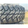 Image 8 : (4) DOUBLESTAR 225/75R16 TIRES