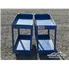 Image 2 : (2) BLUE HAND CARTS