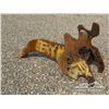 Image 3 : CWS EXCAVATOR FROST RIPPER TOOTH