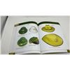 Image 6 : WARMANS JOHN DEERE COLLECTIBLES
