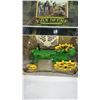 Image 7 : 200TH BIRTHDAY JOHN DEERE BW TRACTOR WITH UMBRELLA