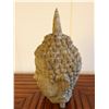 Image 2 : Carved Wooden Thai Buddha Head 12"H