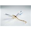 Image 3 : Swarovski Crystal Figurine, Paradise Dragonfly with Box