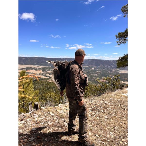 2 Person 3 Day Wyoming Turkey Hunt
