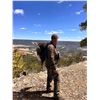 Image 1 : 2 Person 3 Day Wyoming Turkey Hunt