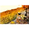 Image 5 : 6 Nights in Cortona Italy for 4