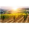 Image 6 : 6 Nights in Cortona Italy for 4