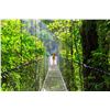 Image 4 : 5 Nights in Costa Rica for 2