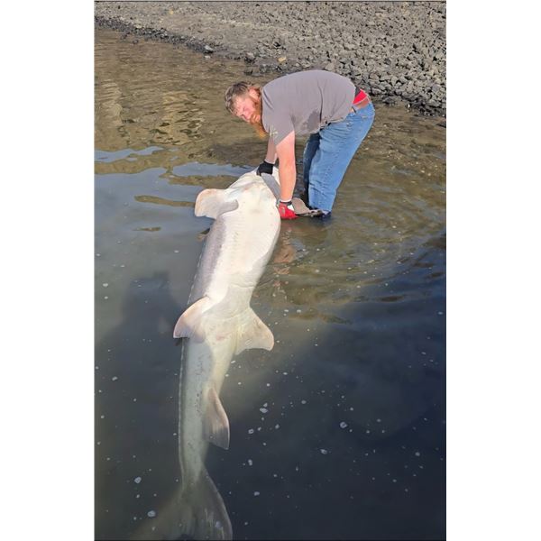 2 Day Columbia River Sturgeon Fishing for 4