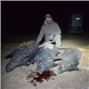 Image 1 : 2 Night Thermal Hog Hunt in Oklahoma for 2