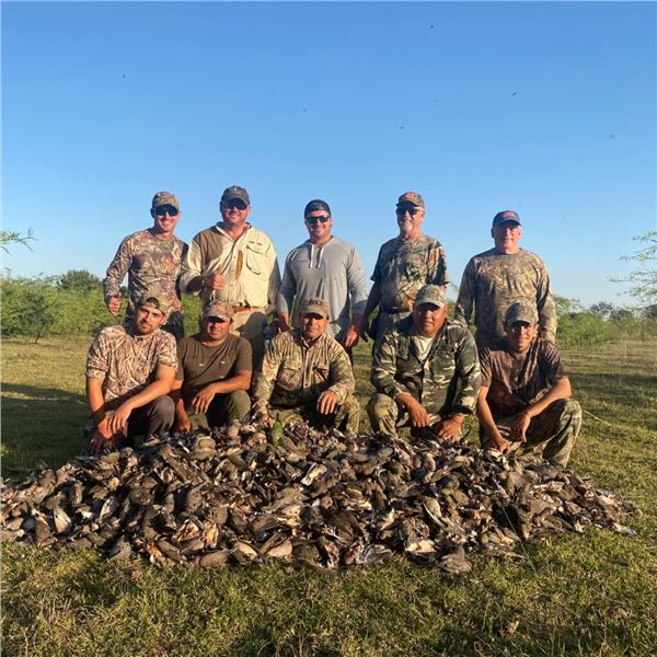 4 Day Argentina Dove Hunt for 8