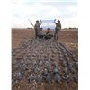 Image 1 : 2 Person/5 Day Argentina Dove Hunt
