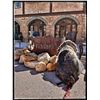 Image 3 : Wyoming NWTF Custom Call, Knife and Turkey Hunt Raffle