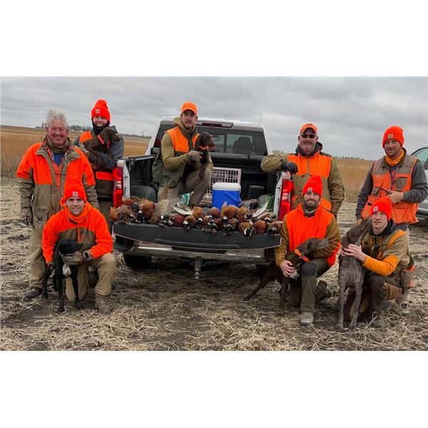 3 Day 4 Night Pheasant Hunt in North Central Iowa for 4