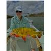 Image 1 : 2 Person Florida Exotics Cast and Blast