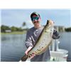 Image 2 : 2 Person Florida Exotics Cast and Blast