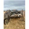 Image 2 : 4 Day/Night North Dakota Duck Hunt for 2