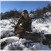 Image 3 : Trophy Coues Deer Hunt for Two in Arizona