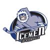 Image 2 : Jacksonville, Fl. (HOCKEY) ICEMEN basket with 4 CENTER ICE tickets
