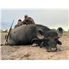 Image 9 : Catena Safaris donates 5 days for 2 hunters in Argentina Cast & Blast experience. Value $12,800.