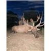 Image 12 : L& L Adventures donates a Texas Trophy Whitetail Hunt for two hunters Valued at $9500