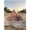 Image 15 : L& L Adventures donates a Texas Trophy Whitetail Hunt for two hunters Valued at $9500