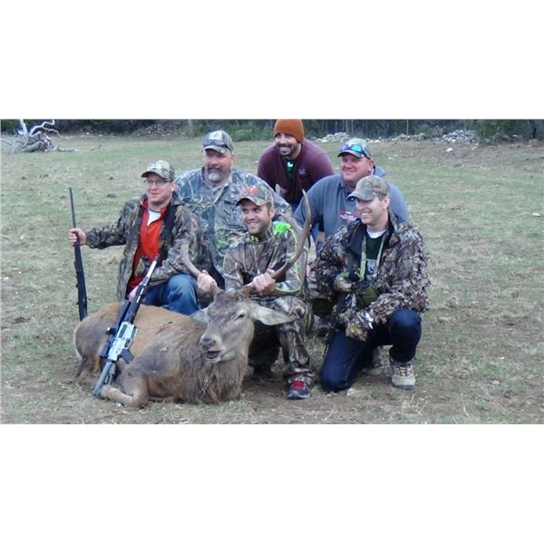 Texas Trophy Exotic Hunt for 2- 5 Hunters donated by L& L Adventures Value $7,500