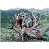 Image 12 : Best hunt for last, 5-Day Red Stag Hunt for Two Hunters in New Zealand- Trophy Fees included