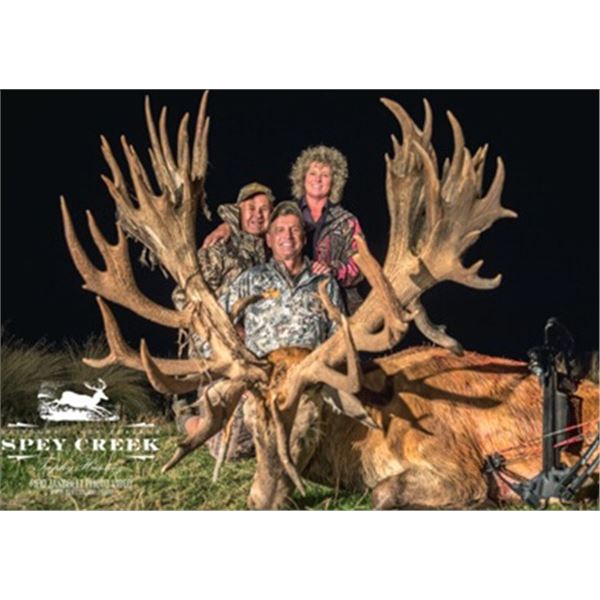 Best hunt for last, 5-Day Red Stag Hunt for Two Hunters in New Zealand- Trophy Fees included