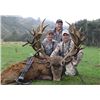 Image 3 : Best hunt for last, 5-Day Red Stag Hunt for Two Hunters in New Zealand- Trophy Fees included
