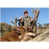 Image 9 : Best hunt for last, 5-Day Red Stag Hunt for Two Hunters in New Zealand- Trophy Fees included