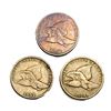 1857-1858 Flying Eagle Cent Lot [3 Coins] Fine