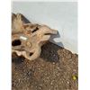 Image 3 : ** Driftwood Bird Bath/Fountain Bowl - 22" x 11" - CANNOT SHIP